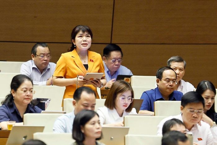 Đại biểu Quốc hội tỉnh Quảng Ninh Nguyễn Thị Thu Hà phát biểu. Ảnh: Doãn Tấn - TTXVN