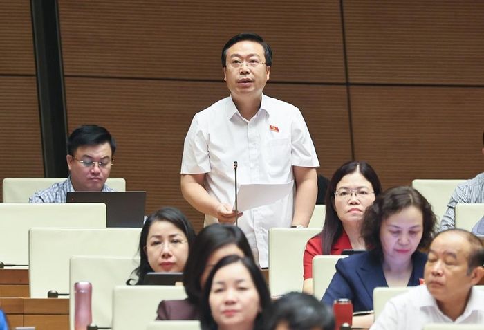 Đại biểu Quốc hội tỉnh Hưng Yên Nguyễn Đại Thắng phát biểu. Ảnh: Doãn Tấn - TTXVN