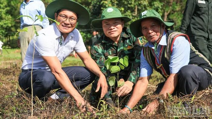 Lâm Đồng đặt mục tiêu bảo vệ nghiêm diện tích rừng tự nhiên hiện có, tăng độ che phủ rừng, giảm số vụ vi phạm qua từng năm, bảo đảm toàn bộ diện tích rừng có chủ quản lý.