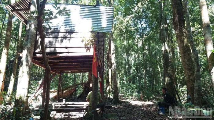 Lâm Đồng chỉ đạo rà soát, hướng dẫn thực hiện các quy định mới về chế độ tiền lương, phụ cấp đối với viên chức thuộc lực lượng chuyên trách bảo vệ rừng.