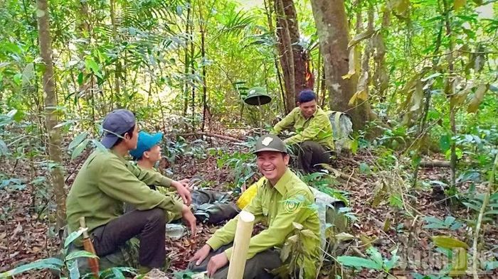 Lâm Đồng chỉ đạo nghiên cứu, đề xuất chính sách hỗ trợ phù hợp đối với lực lượng chuyên trách bảo vệ rừng (hợp đồng lao động) thuộc các Ban quản lý rừng và các Công ty lâm nghiệp.
