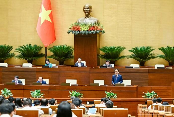 Quang cảnh phiên họp sáng 11/8. (Ảnh: DUY LINH)