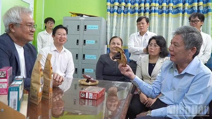 Bí thư Tỉnh ủy Đồng Tháp Ngô Chí Cường (bìa phải) thăm mô hình trồng nấm linh chi của Công ty cổ phần hệ sinh thái The Vos. (Ảnh: HỮU NGHĨA)