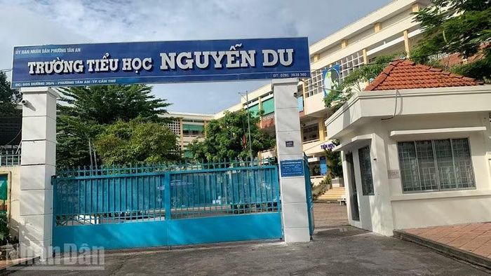 Trường tiểu học Nguyễn Du sáp nhập với 4 trường tiểu học trên địa bàn phường Tân An thành Trường tiểu học Tân An. (Ảnh: THANH TÂM)