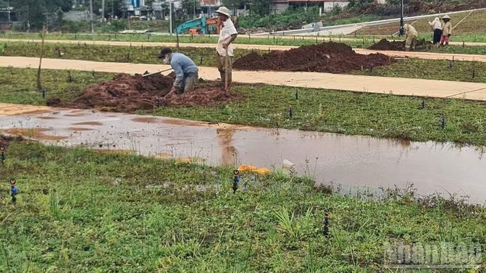 Nhiều nhóm công nhân đang tất bật đào rãnh thoát nước trên mặt bằng quảng trường.
