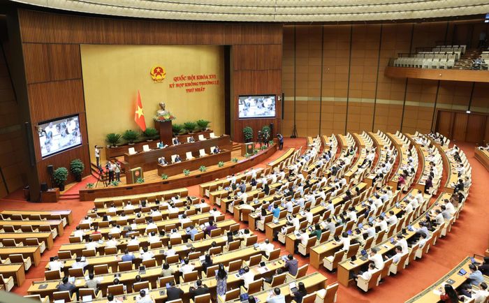 Quang cảnh phiên thảo luận tại hội trường, sáng 11-8. Ảnh: QUANG PHÚC