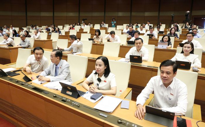 ĐB Quốc hội TPHCM cùng các đại biểu Quốc hội dự họp. Ảnh: QUANG PHÚC