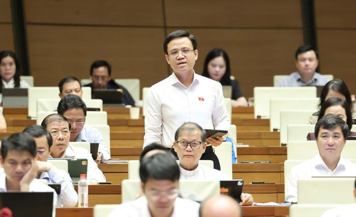 ĐB Nguyễn Thế Duy (TPHCM). Ảnh: QUANG PHÚC