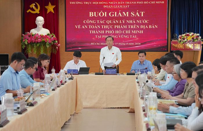  Đồng chí Huỳnh Thanh Nhân phát biểu kết luận tại buổi giám sát. QUANG HUY 