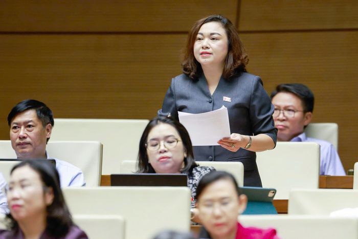 Đại biểu Đặng Bích Ngọc (Phú Thọ). Ảnh: QUANG PHÚC