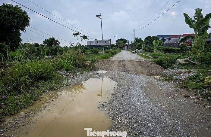 Trao đổi với phóng viên, đại diện UBND xã Liên Minh cho biết, địa phương đã nhận được phản ánh của người dân liên quan đến tiến độ thi công tuyến đường qua 2 thôn Vĩnh Tiên và Liên Hào. Theo vị này, tuyến đường nêu trên dài 3,6km, do Ban Quản lý dự án đầu tư xây dựng số 2 tỉnh Ninh Bình làm chủ đầu tư. Tiến độ thực hiện dự án đã được gia hạn đến tháng 11/2026. Trước phản ánh tuyến đường thi công ì ạch, UBND xã Liên Minh đã có văn bản đề nghị chủ đầu tư, đơn vị thi công đẩy nhanh tiến độ, sớm hoàn thiện công trình.