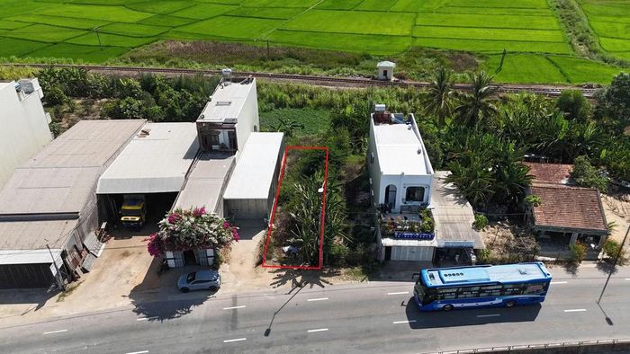 Lô đất số 18 ông trúng đấu giá, riêng lô 19 không có trên thực địa của ông Đặng Huy Dũng.