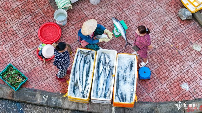 Cá thu, cá nhồng bày bán tại chợ