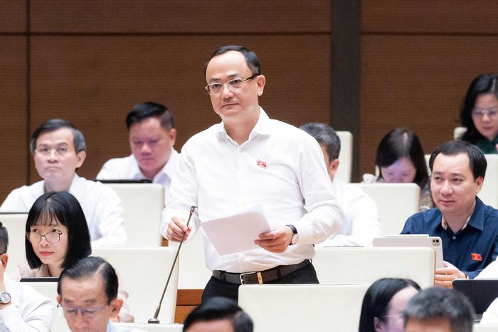 Đại biểu Nguyễn Ngọc Sơn. Ảnh: QH