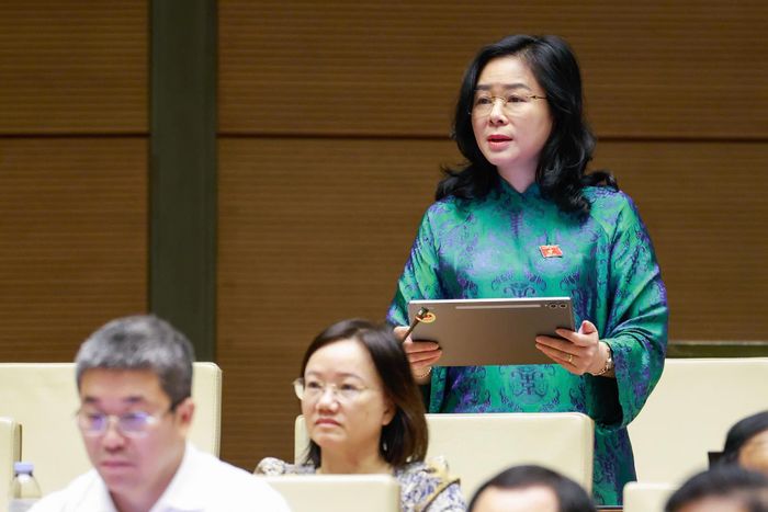 Đại biểu Lê Thị Hoài Chung 