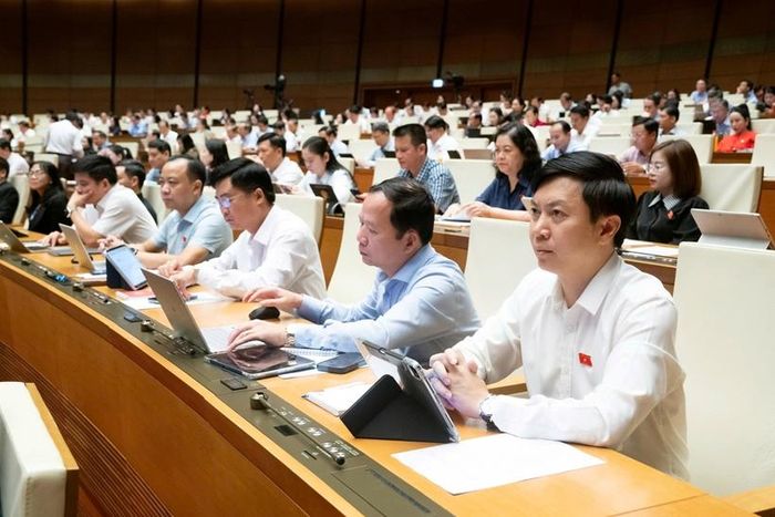 Các đại biểu tham dự Phiên họp (Ảnh: Media Quốc hội).