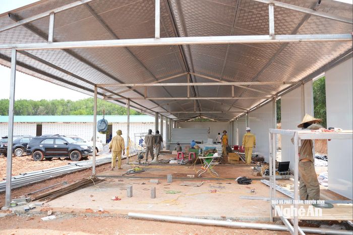 Công ty TNHH Tập đoàn Sơn Hải đang thi công lán trại. Ảnh: Nguyễn Toàn