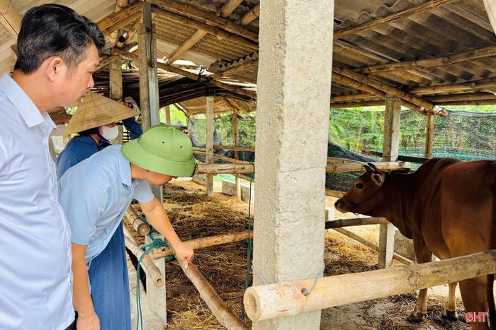 Lãnh đạo xã Thạch Hà trực tiếp chỉ đạo, khuyến cáo công tác phòng dịch đến người dân.