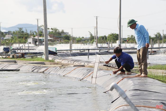 Công ty CP Thủy sản Long Vân đang tập trung các giải pháp chủ động ứng phó với diễn biến thời tiết.