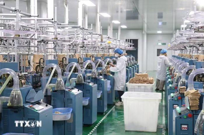 Hoạt động sản xuất tại các doanh nghiệp FDI trên địa bàn tỉnh Tây Ninh. (Ảnh: Bùi Giang/TTXVN)