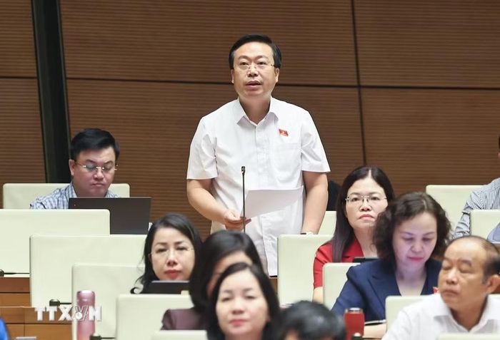 Đại biểu Quốc hội tỉnh Hưng Yên Nguyễn Đại Thắng phát biểu. (Ảnh: Doãn Tấn/TTXVN)