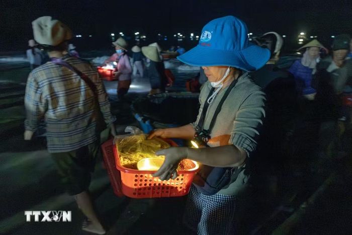 Những mẻ cá tươi rói của chuyến biển đêm được đưa thẳng từ thuyền lên bờ. (Ảnh: Xuân Quý/TTXVN)