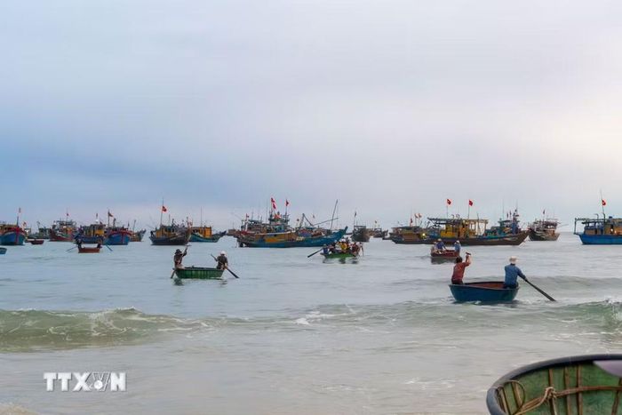 Khi chợ cá tan dần, những chiếc thuyền trở về nằm im bên bờ, làng biển lại trở về nhịp sống bình thường. (Ảnh: Xuân Quý/TTXVN)