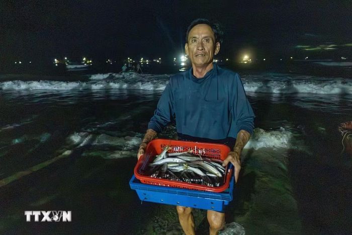 Từ trên thuyền, những rổ cá, hải sản ngư dân vừa đánh bắt nhanh chóng được đưa vào bờ để kịp phiên chợ lúc bình minh. (Ảnh: Xuân Quý/TTXVN)