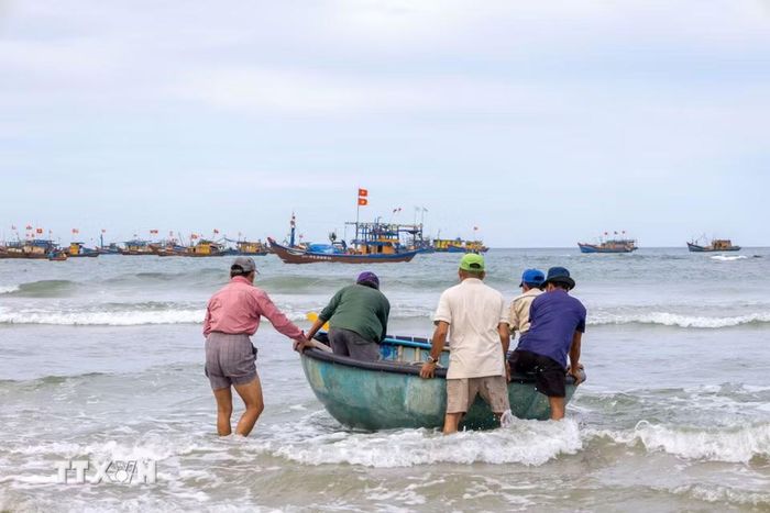 Khoảng 16 giờ hàng ngày, các đội thuyền lần lượt rời bờ, cùng nhau ra khơi đánh bắt đến rạng sáng hôm sau. (Ảnh: Xuân Quý/TTXVN)