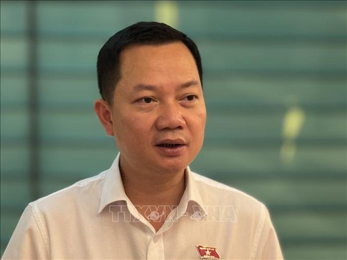 Đại biểu Trịnh Xuân An (Đồng Nai) trả lời phỏng vấn.