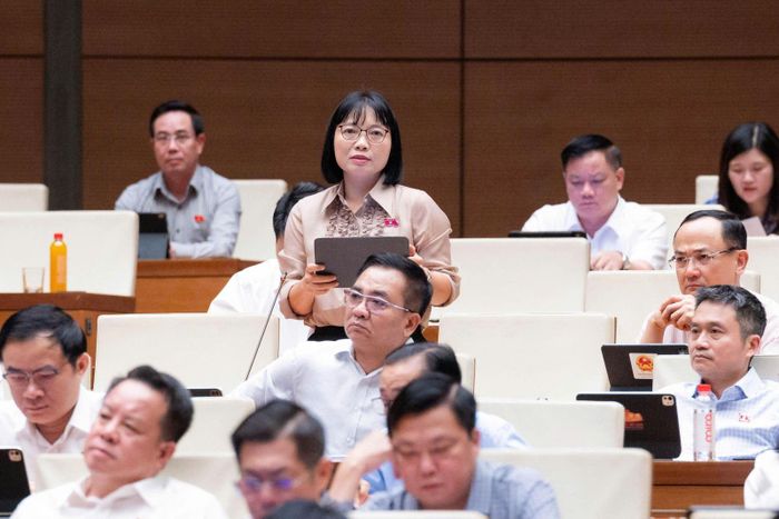 Đại biểu Nguyễn Thị Việt Nga (Đoàn ĐBQH TP Hải Phòng) phát biểu.