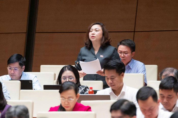 Đại biểu Đặng Bích Ngọc (Đoàn ĐBQH tỉnh Phú Thọ) phát biểu.