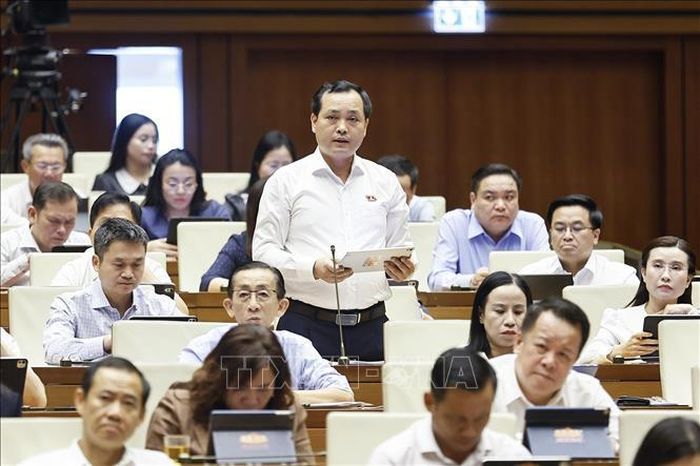 Đại biểu Quốc hội Thành phố Hồ Chi Minh Lê Văn Đông phát biểu. Ảnh: Doãn Tấn/TTXVN
