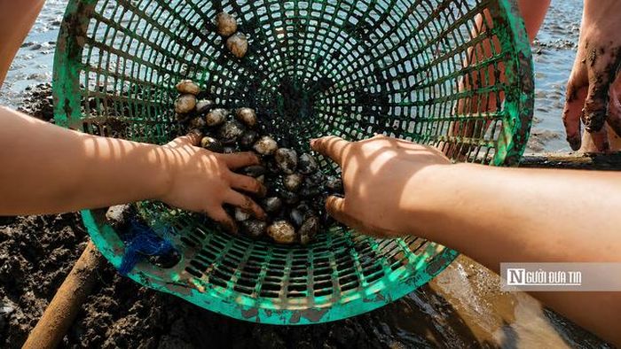 Du khách thích thú khi tự tay bắt được những con nghêu đầu tiên trong chuyến trải nghiệm. 