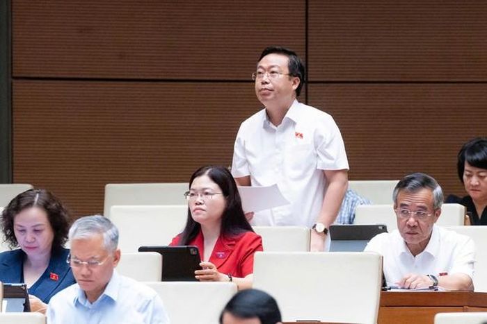ĐBQH Nguyễn Đại Thắng (Ảnh: Media Quốc hội).