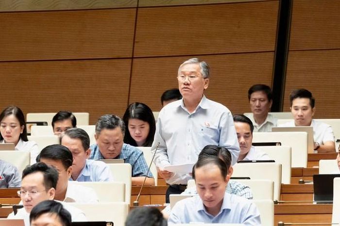ĐBQH Trịnh Ngọc Phương (Ảnh: Media Quốc hội).