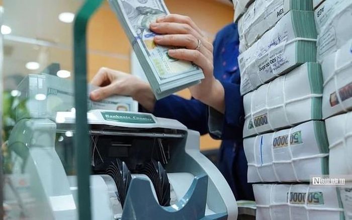CC1 có quy mô tiền mặt và tiền gửi lớn nhất.