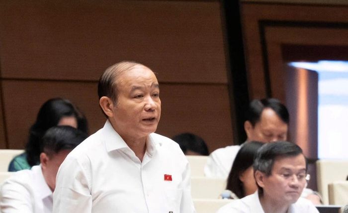 Đại biểu Lã Thanh Tân (Đoàn Hải Phòng). Ảnh: Thu Hằng/Bnews/vnanet.vn 