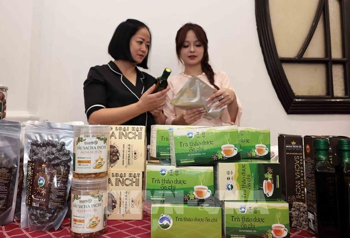 Sản phẩm nông nghiệp hữu cơ của HTX Kim Thông, huyện Phú Xuyên, Hà Nội hướng tới xuất khẩu bền vững. Ảnh: Trần Việt - TTXVN ; 