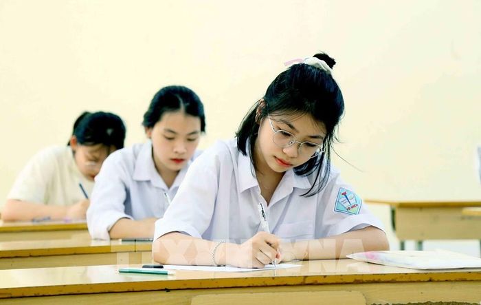 Điểm chuẩn một số ngành luật, du lịch giảm so với năm trước. Ảnh: Quang Quyết - TTXVN
