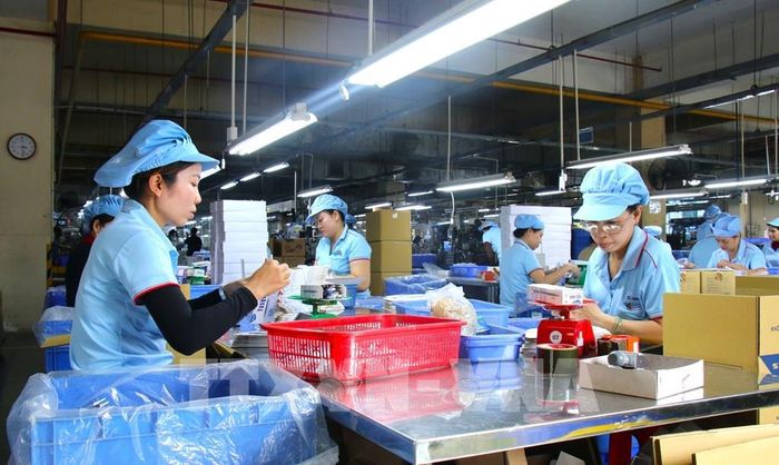 Nhiều doanh nghiệp văn phòng phẩm tại TP. Hồ Chí Minh tăng tốc sản xuất để liên tục đưa hàng ra thị trường, phục vụ cao điểm mùa mua sắm tựu trường. Ảnh: Hương Giang – TTXVN