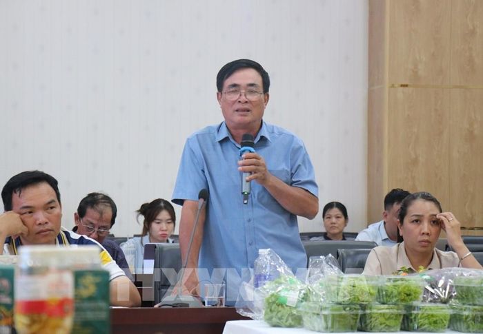 Nhiều chủ thể OCOP còn lúng túng khi triển khai bộ tiêu chí OCOP giai đoạn mới. Ảnh: Hương Giang - TTXVN 