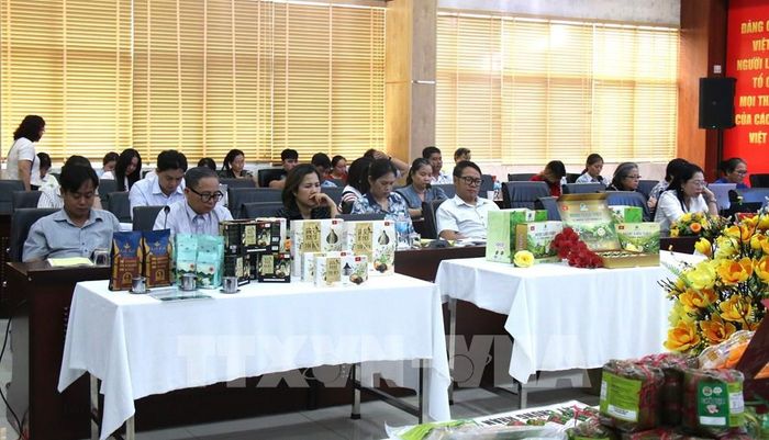 Quang cảnh buổi tập huấn. Ảnh: Hương Giang - TTXVN