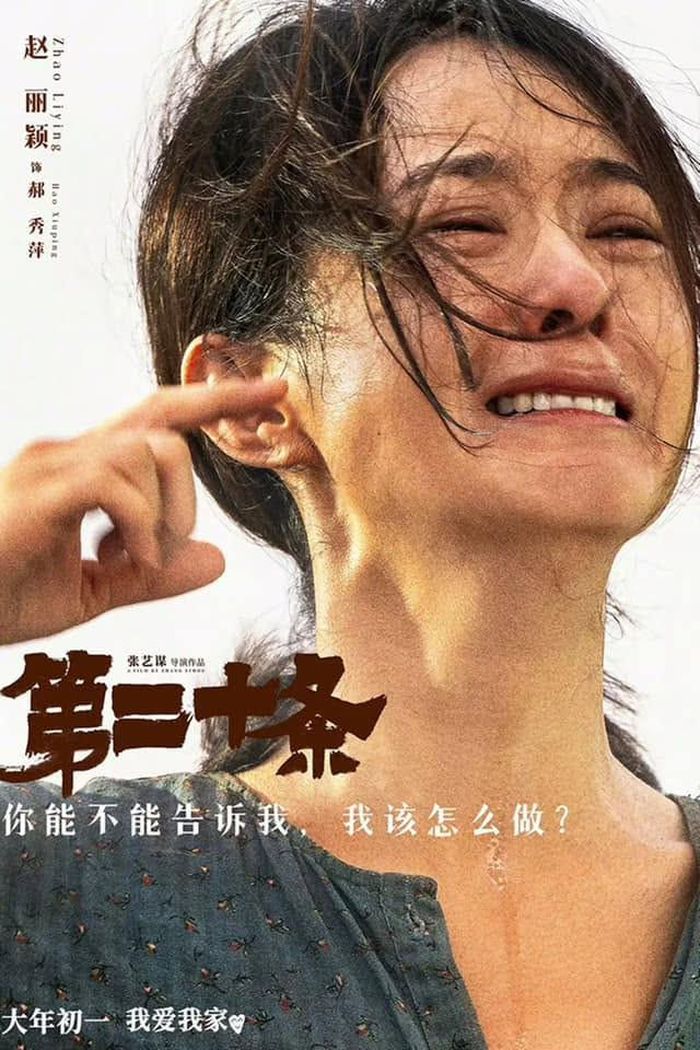 Triệu Lệ Dĩnh tiếp nối thành tích của Angelababy khi lần đầu được đề cử đã giành ngay giải Nữ diễn viên phụ xuất sắc nhất.