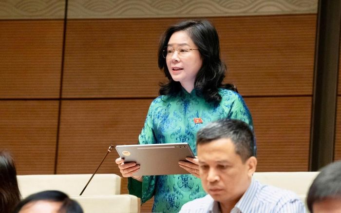 Đại biểu Lê Thị Hoài Chung (đoàn Nghệ An) phát biểu