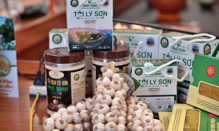 Sự đa dạng của sản phẩm OCOP phản ánh lợi thế về tài nguyên bản địa, văn hóa và nghề truyền thống của các vùng miền trên cả nước