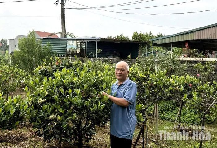 Mô hình trồng hoa, cây cảnh của cựu chiến binh Lê Bá Ninh mang lại hiệu quả kinh tế.