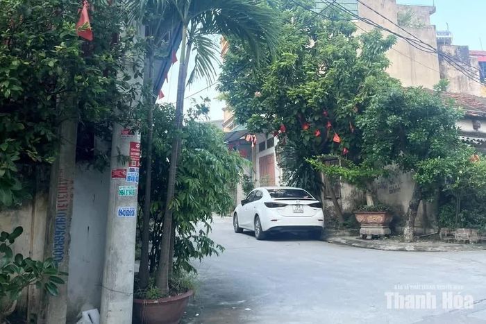 Gia đình đặt các chậu cây to ngay khúc cua trước cửa nhà, ở vị trí giao với ngõ 40 đường Trương Hán Siêu.