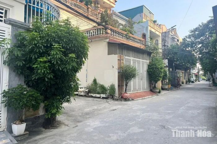Gia đình trồng cây xanh ngay đầu ngõ 14 đường Trần Bình Trọng che khuất tầm nhìn của người tham gia giao thông.