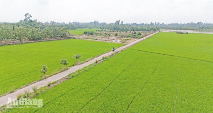 Những tuyến đường giao thông nông thôn xanh - sạch - đẹp.